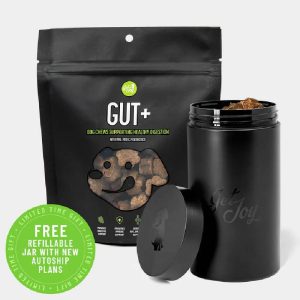 Gut+ Supplement