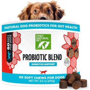 Digestive & Gut Health Enzyme Formula